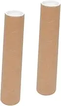 DINHEAROM 2Pcs Heavy Duty Poster Tubes for Artwork and Document Storage Mailing Tubes with Caps for Transporting Paintings and Professional Documents