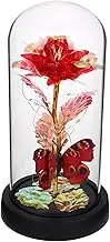 JUMPLAWN Preserved Rose in Glass Dome with LED Light and Butterfly Elegant Desktop Ornament for Romantic Present Timeless Beauty for Valentine Day Mother Day and Special Occasions