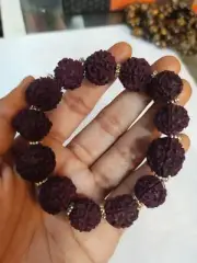 Rudraksha Dark Red Bracelet with 13 beads on Elastic Cord Unisex