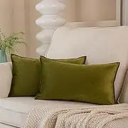JUSPURBET Olive Decorative Velvet Throw Pillow Covers 16x24 inch Set of 2,Broadside Soft Cushion Case with Invisible Zipper for Sofa Couch Bed