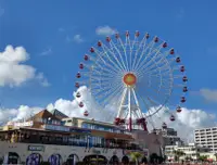 在飛比找雄獅旅遊優惠-沖繩旅遊｜美麗海水族館、玉泉洞、波上宮、泡盛見學四日｜贈送半