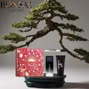 212 VIP Black Carolina Herrera EDP 100Ml +EDP 10Ml+Shower Gel 100Ml Gift Set Men