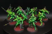 Striking Scorpions Kill Team Painted Warhammer 40k Aeldari
