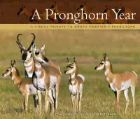 在飛比找博客來優惠-A Pronghorn Year: A Visual Tri