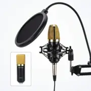 New Blackmore Pro Audio XLR Podcast Streaming Condenser Microphone Kit BMP-24