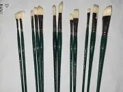 Winsor Newton Hog Hair Brush Set Flat Round Fibert Fan Short Flat Bright