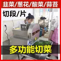 在飛比找ETMall東森購物網優惠-全自動多功能切菜機切片機商用切蔥花切韭菜切酸菜絲辣椒切段機