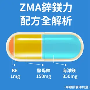 Guard守衛者 ZMA鋅鎂力 4包組 (500mg/30粒) 現貨供應【CAP】