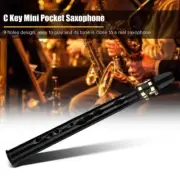Pocket Sax Mini Portable Saxophone C-Key Little Saxophone Carrying With A0O-.USA