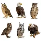 Waterproof Bird Repel Scare Devices Owl Scarecrow Bird Repeller Balcony