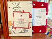 Snoopy Pottery Barn Holiday peanuts Pillowcase Star Sham Disney SET 2 Birthday