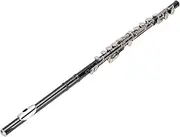 Open Hole 16 Keys Flute for Beginner Kids Student Flute Instrument with Cleaning Kit and Carrying Case, Beginners Students Adults Professional Instrument Kit