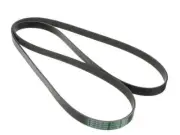 Multi Rib Belt For 1998-2008 Mazda B3000 1999 2000 2001 2002 2003 2004 HD426TN (for: Mazda)