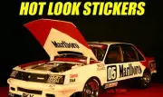 1:18 Peter Brock MISSING Vinyl Decals 1980 Bathurst Winner VC Commodore