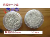 在飛比找Yahoo!奇摩拍賣優惠-【可超商取貨】【原價$11】貝殼砂2-3mm一小盒 ~DIY