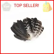 30PCS Natural Turkey Spotted Feathers, Pheasant Feathers for Crafts DIY Hat Natu
