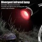 Turtle Basking Lamp Bulb E27 Standard Thread Infrared Reptile Heat Lamp Bulb