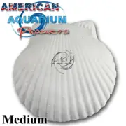 Med Wonder Shell- Aquarium Fish, Snails, Shrimp, Plants Mineral Packs (Fresh)