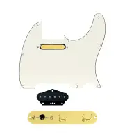 920D Custom Gold Foil Loaded Pickguard for Tele With Parchment Pickguard and ...