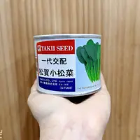 在飛比找蝦皮購物優惠-原包裝 1/4磅 松賀小松菜種子 小松菜種子 小松種子 小松