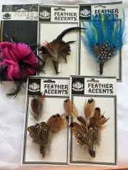 Lot Of 5 Zep feather accents