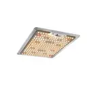 1000W Led Grow Light Full Spectrum Indoor Veg Flower All Stage