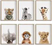 Baby Animal Posters and Prints Baby Nursery Decor Pictures Set of 6 (Unframed) C