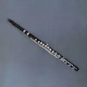 Handmade Professional Ebony Wood Flute 17 Hole Silver Key B Foot w/Case 2025 NEW