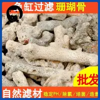 在飛比找蝦皮購物優惠-珊瑚骨濾材魚缸珊瑚沙過濾材料珊瑚石純天然魚池底砂造景珊瑚批發