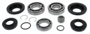 All Balls Differential Bearing and Seal Kit Rear 25-2111