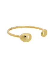 Argento Vivo 14K Plated Ring
