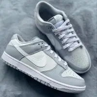 在飛比找蝦皮購物優惠-Nike Dunk Low Grey White 霧灰 灰白