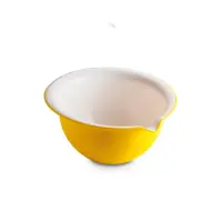 在飛比找momo購物網優惠-【OMADA】烘培甜點抗菌攪拌碗 黃色 2.0L(Micro