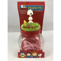 在飛比找蝦皮購物優惠-[全新] SNOOPY 玻璃瓶