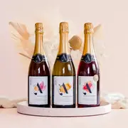 Altina Mixed Sparkling Bottles (6 Bottles).