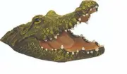 Reefe Lurking Croc Floating Ornament 35cm/46cm