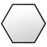 Polygon Mirror