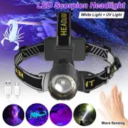 Hunting Sensor UV Light&White LED Headlamp Zoom Headlight USB Charging Torch