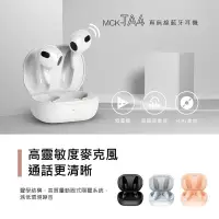 在飛比找蝦皮商城精選優惠-[台灣發貨]MIT 台灣製造 真無線藍牙耳機 藍牙5.3 智