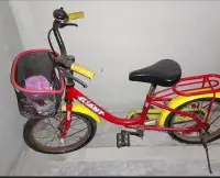 在飛比找Yahoo!奇摩拍賣優惠-GIANT捷安特兒童腳踏車