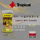 Tropical 德比克 燈科孔雀魚滿漢全餐飼料100ml 250ml【珍珠海水族】 (燈科.孔雀.鬥魚小型觀賞魚)