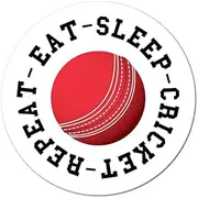 Eat Sleep Cricket Sticker Decal Funny Sport Game Hobby