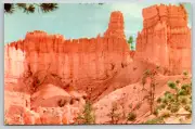 c1960s Bryce Canyon UT The Cathedral Amphitheaters Postcard