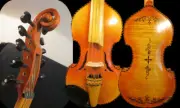 Baroque style SONG master 5×5 string 14" Viola d'Amore,carving back #14482