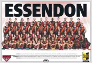 Essendon bombers TEAM POSTER,AFL FOOTBALL SWANS, Geelong cats, books, hawks, cro