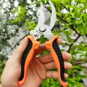 Garden Pruning Shears Fruit Tree Flower Pruning Scissors Multifunctional Stainle