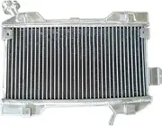 Radiator Grille Fit for Suzuki 2006-2009 LTR450 LTR 450 LT450R Moto Replacement Parts Intercooler Aluminum Alloy Radiator Engine Radiator