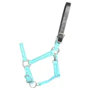 HORSE SIZE- READY MADE - Baby Blue TURNOUT HALTER Made from BETA BIOTHANE