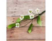 Filler Spray with Leaves Sugar flower wedding birthday cake decoration topper