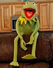 Kermit The Frog Professional Puppet With Arm Sleeve Full Body With Arm Rods